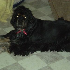 Meet your Posher, Renee